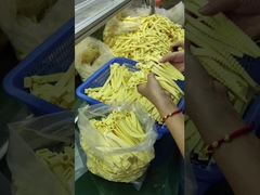 حلقات سيليكون مطاطية مخصصة لدرجات الحرارة القصوى (-30 درجة مئوية ~ 230 درجة مئوية)